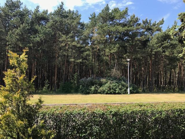 Vila Medus Palanga Buitenkant foto